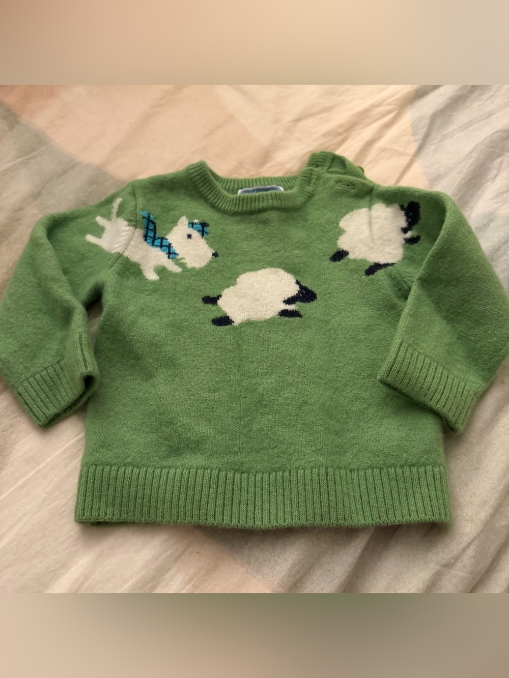 Jacadi | Green Wool Crewneck Baby Sweater - Picture 2 of 5